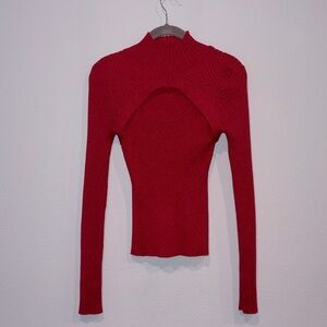 Pink Rose Vibrant Red Crop Top